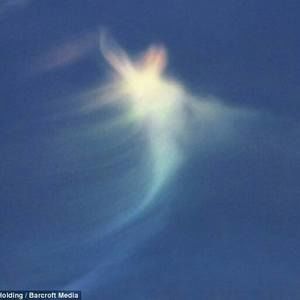 Meet your Posher, Charlene